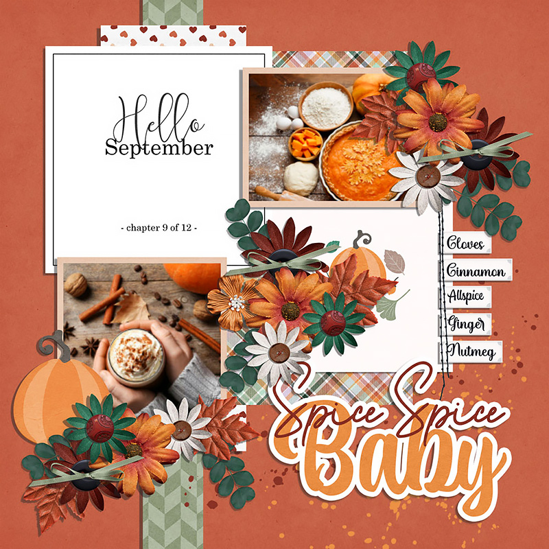 Spice It Up | Elements - Image 8