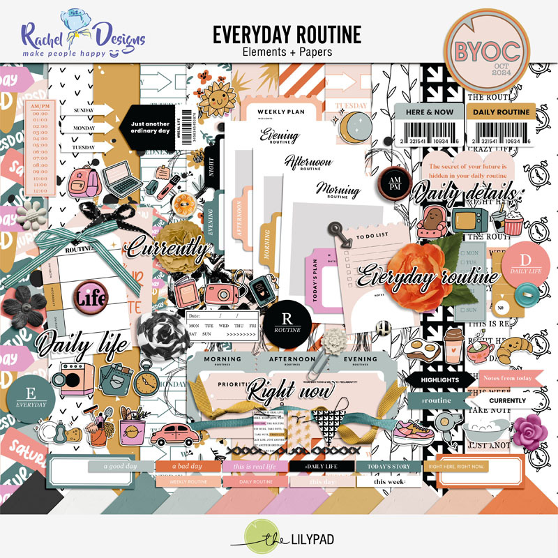 Everyday Routine | Kit