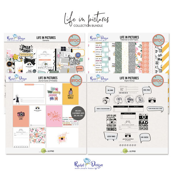 Life In Pictures | Collection