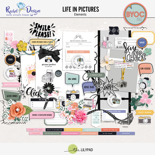 Life In Pictures | Elements