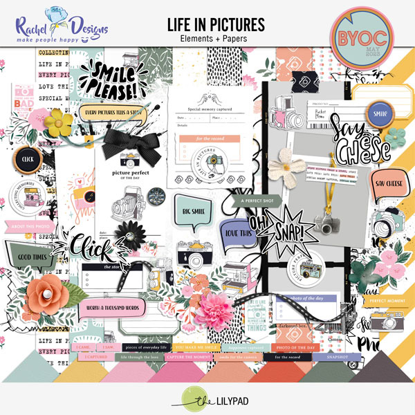 Life In Pictures | Kit