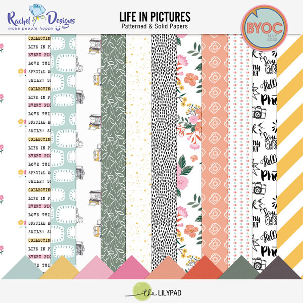 Life In Pictures | Kit - Image 4