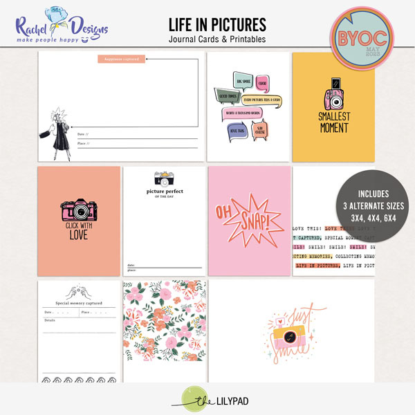 Life In Pictures | Pocket Cards - Image 2
