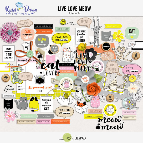 Live Love Meow | Kit - Image 2