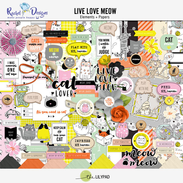 Live Love Meow | Kit - Image 3