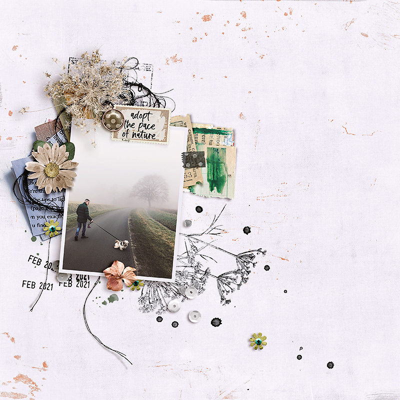Paper Pieced: Set 2 - Image 7