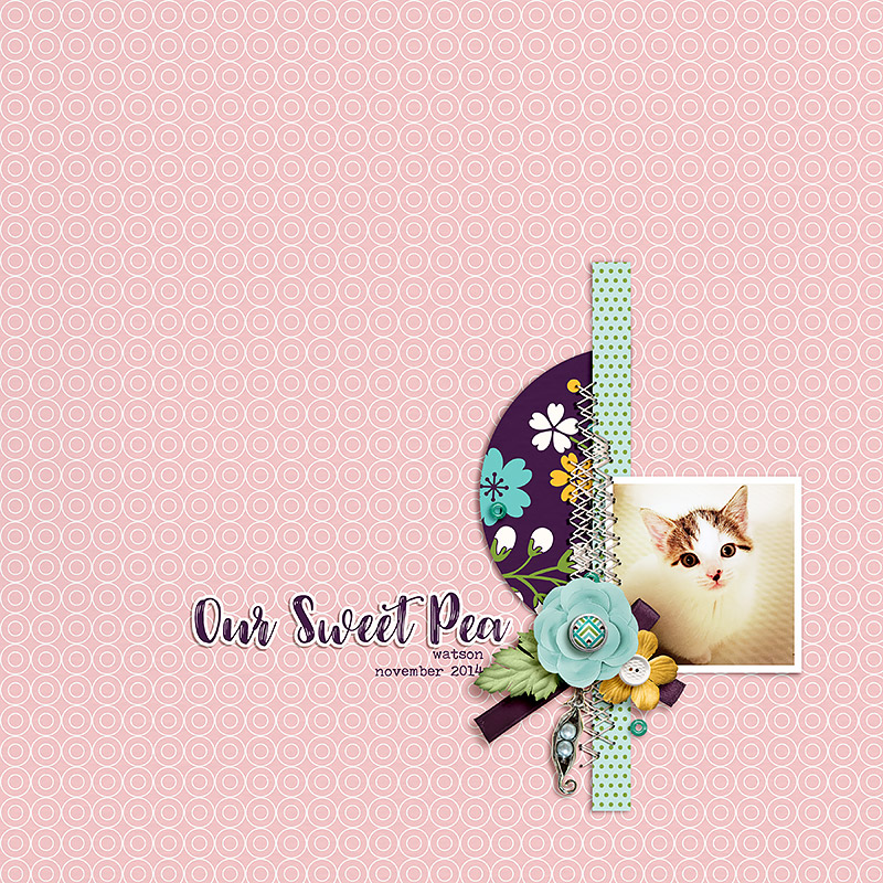 Veggilicious | Collaboration Kit - Image 7