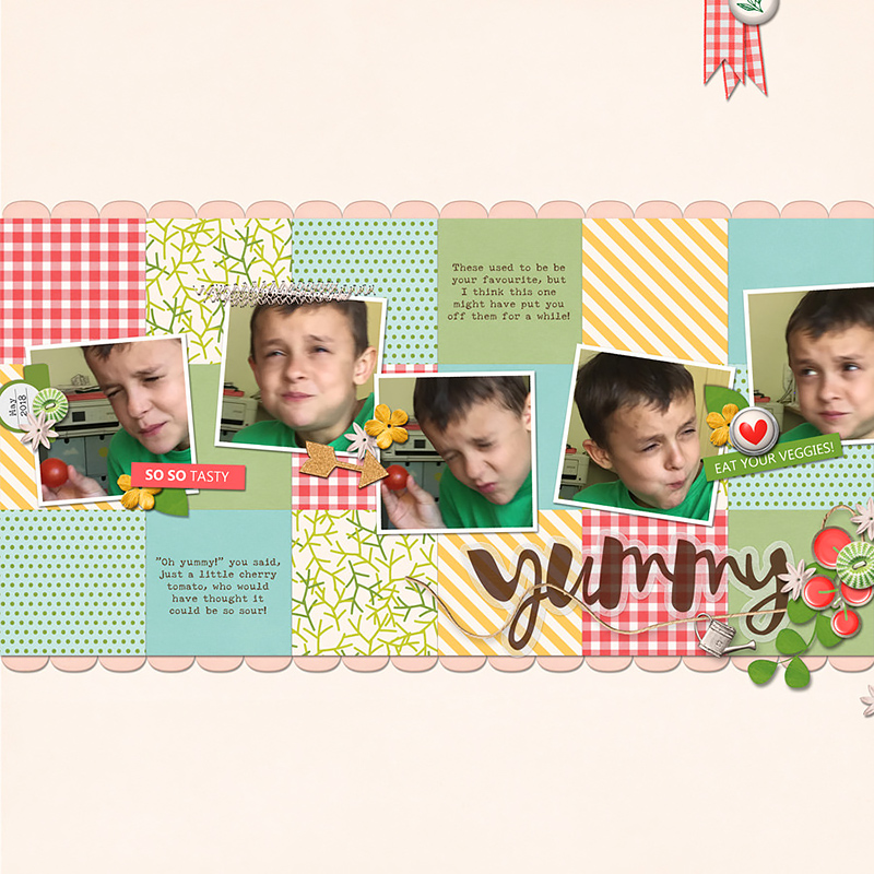 Veggilicious | Collaboration Kit - Image 6