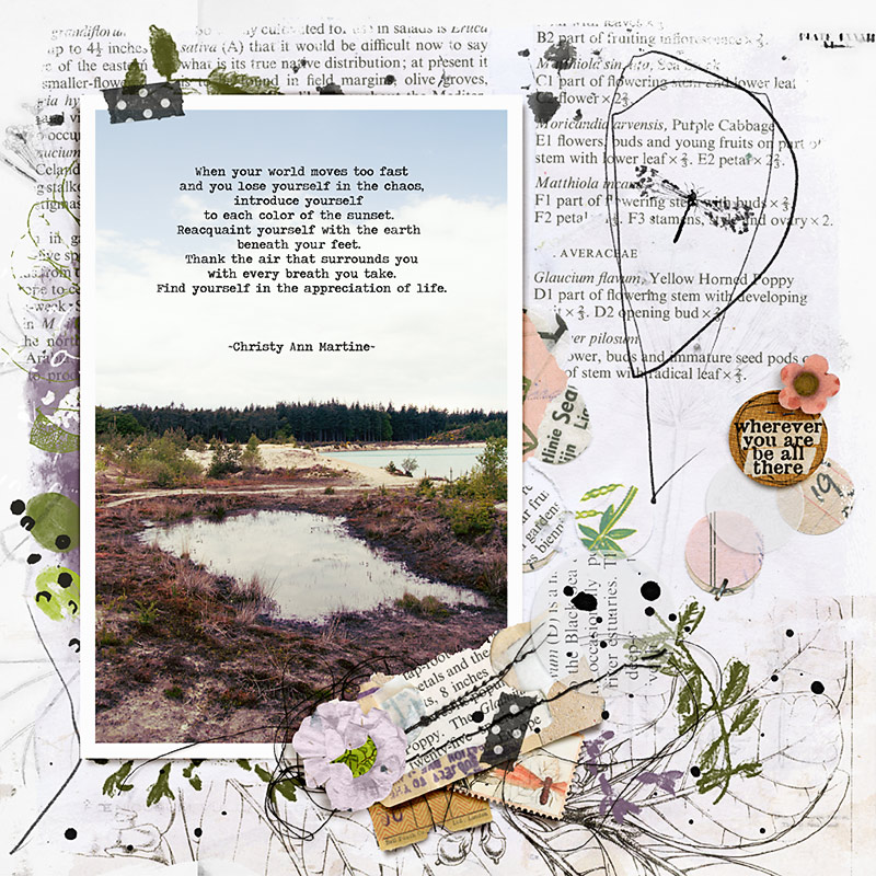 Look Deep into Nature: Volume 2 | Mixed Media Paperie - Image 10