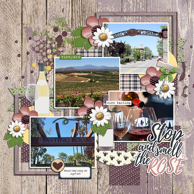 Wine Not? | Kit - Image 9