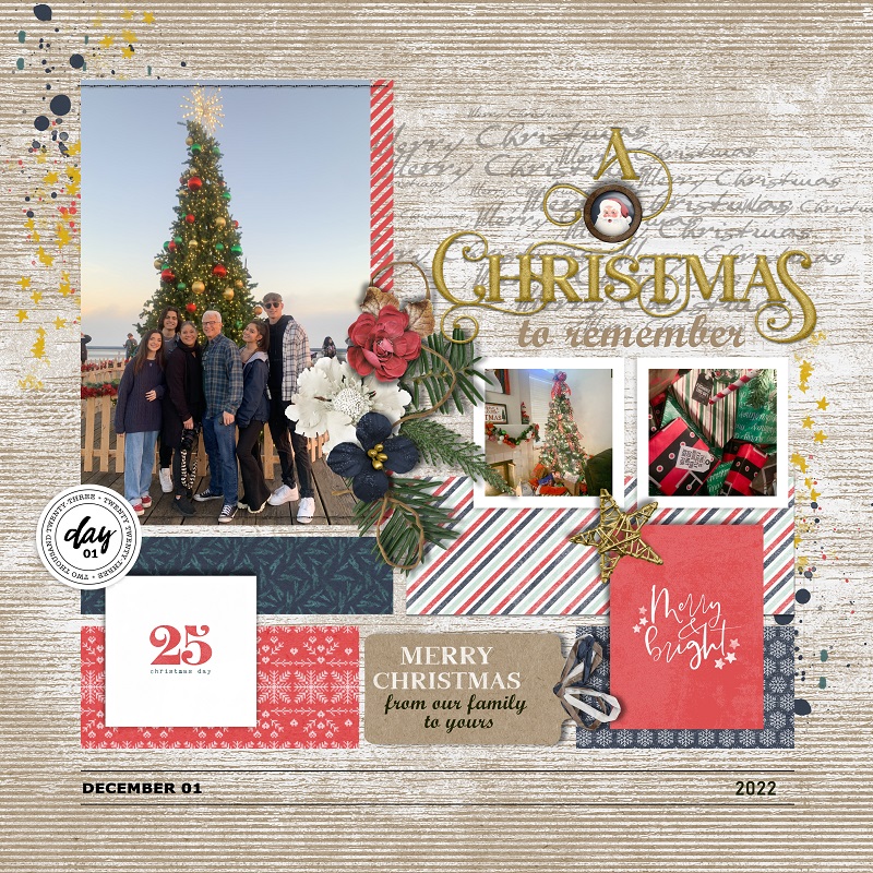 A December story captured vol.05 - Image 2