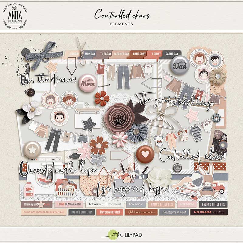 Controlled Chaos | Collection - Image 2
