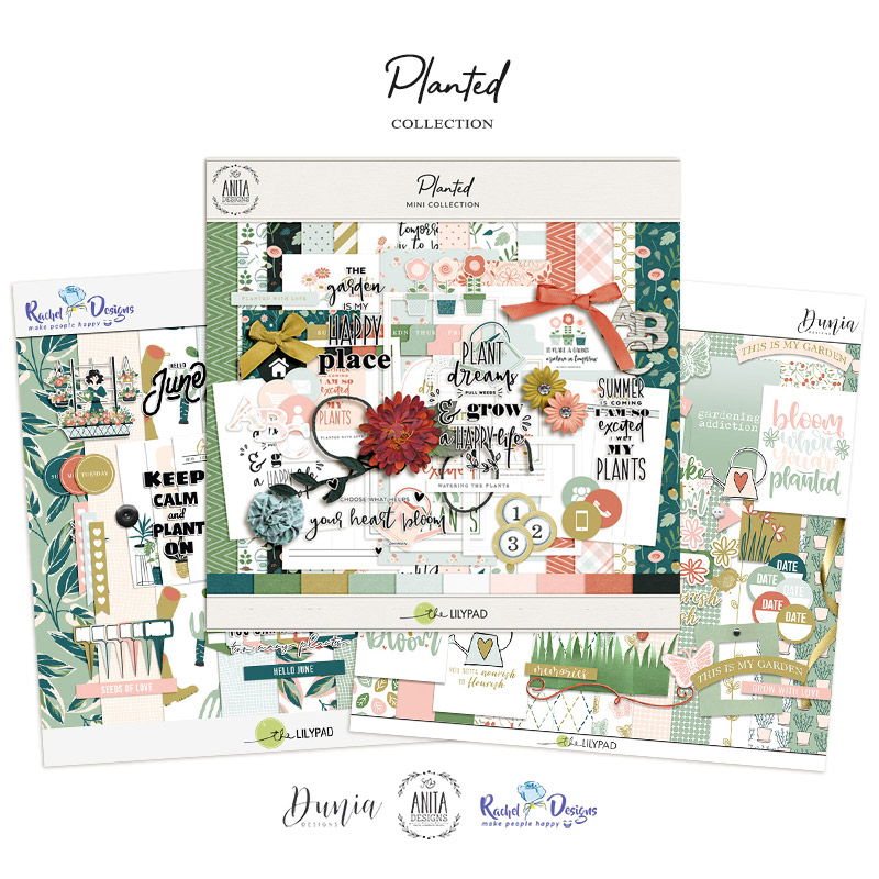 Planted | Collection