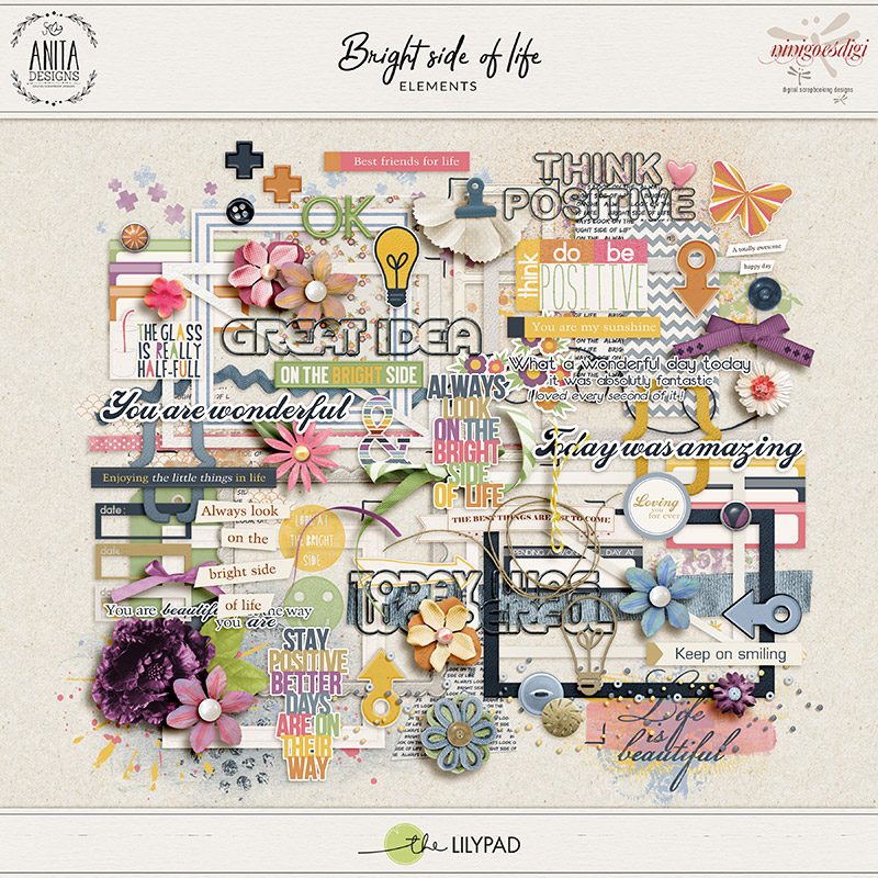 Bright side of life | Elements