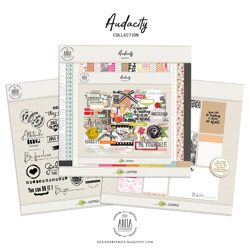 Audacity | Collection - Image 7