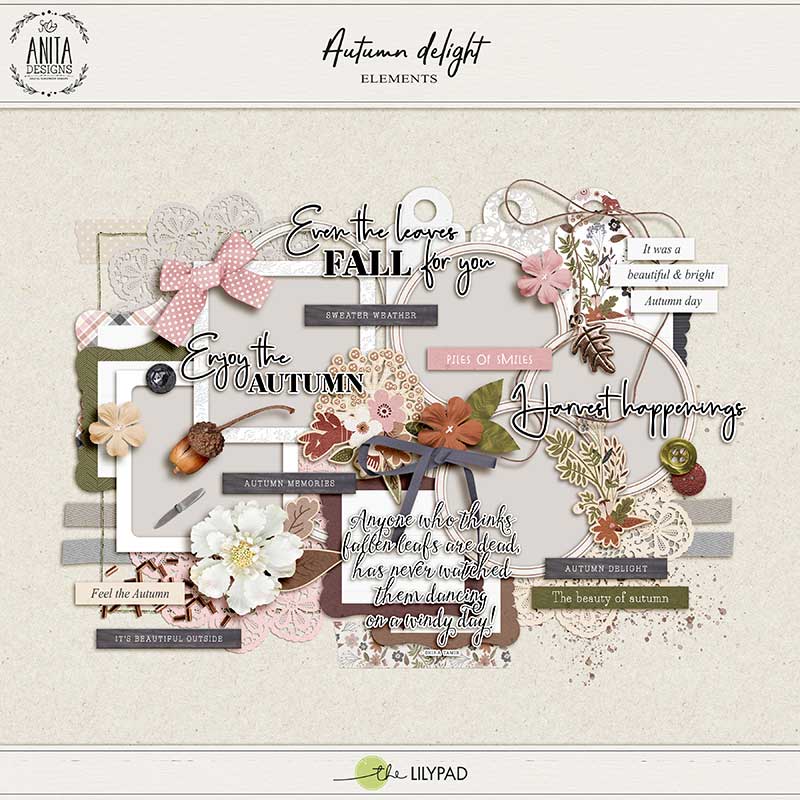 Autumn Delight | Collection - Image 2