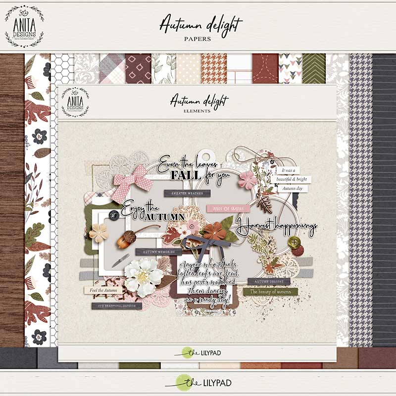 Autumn Delight | Collection - Image 3