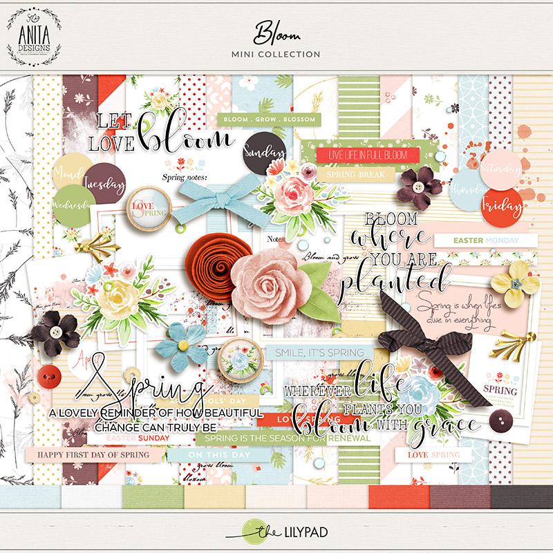 Bloom | Mini Collection