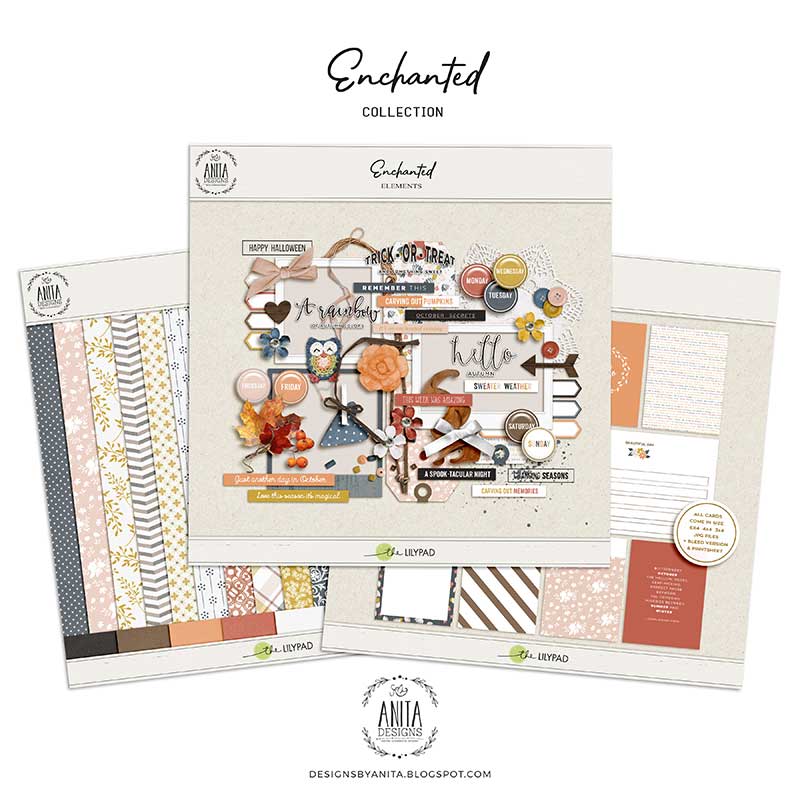 Enchanted | Collection