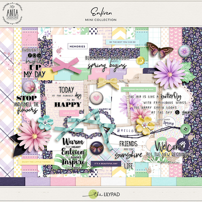 Enliven | Mini Collection