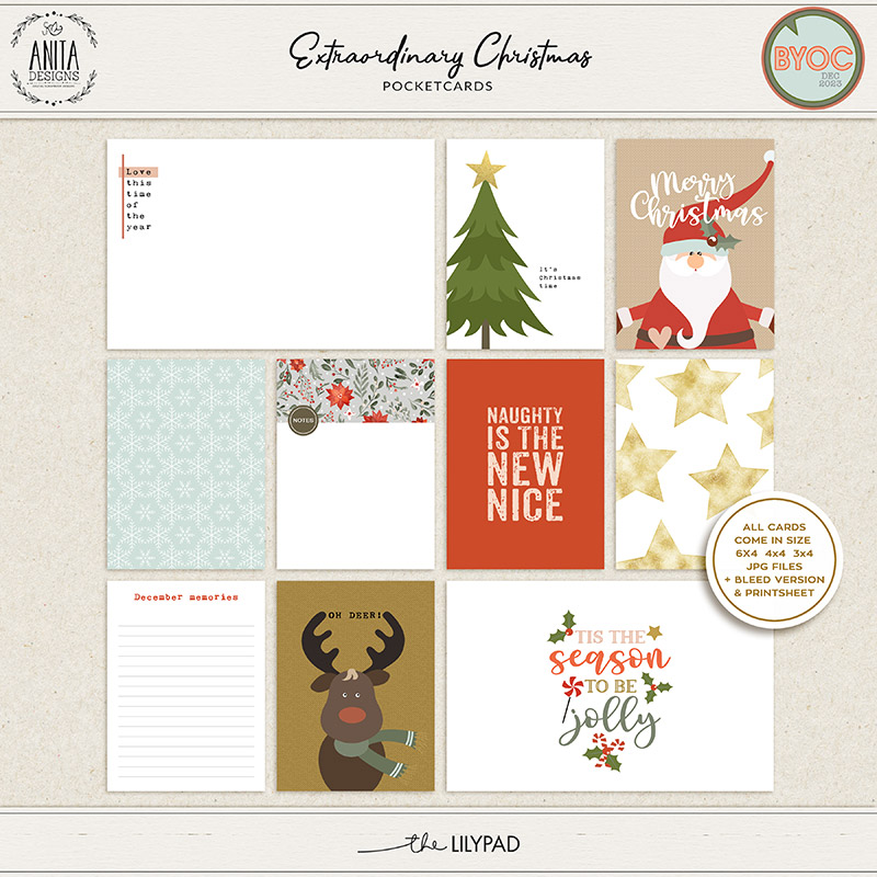 Extraordinary Christmas | Pocket cards