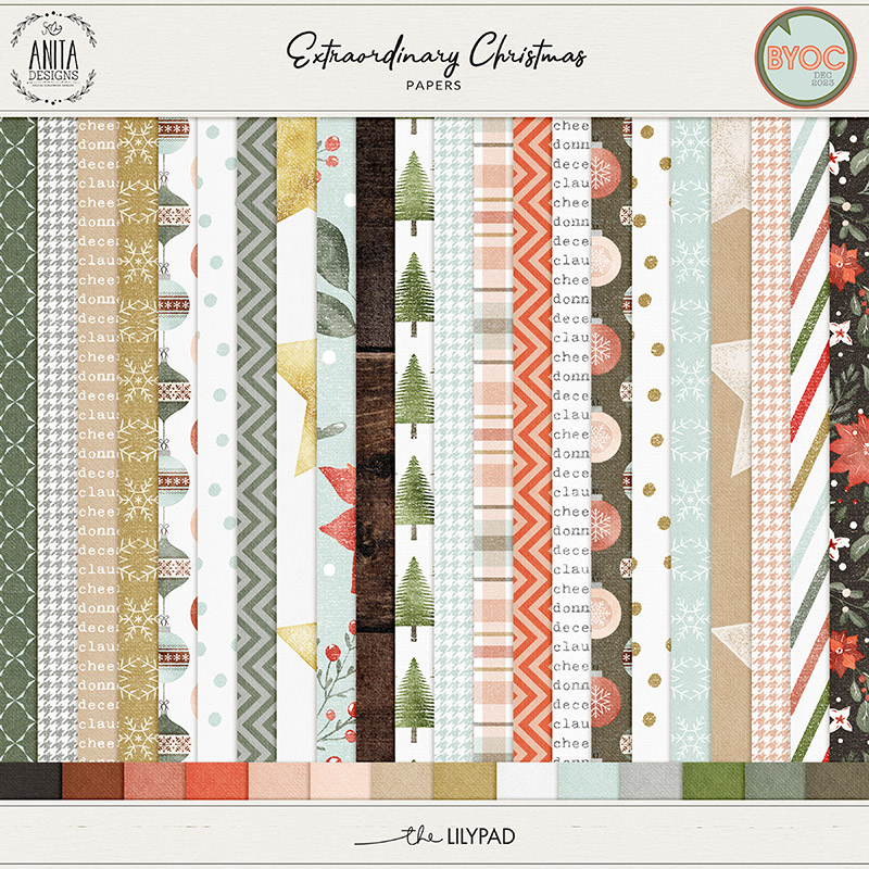 Extraordinary Christmas | Papers