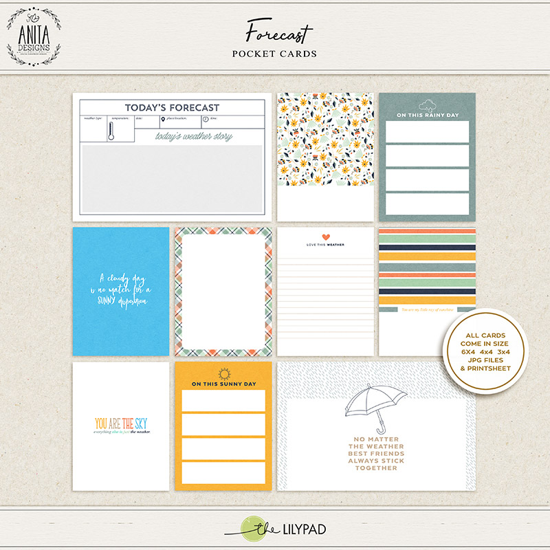Forecast | Pocket cards