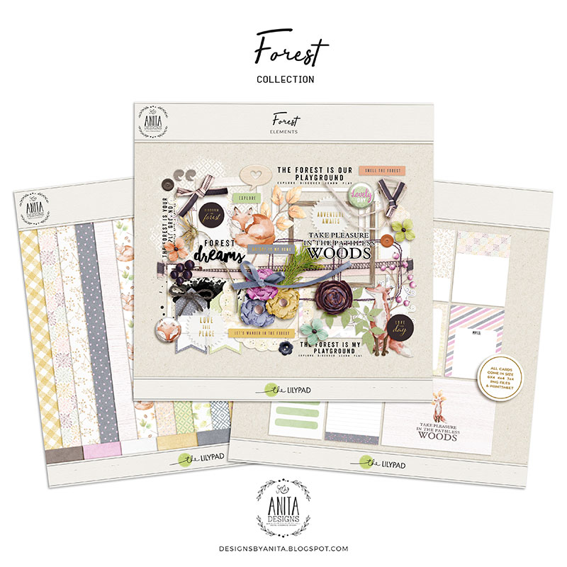 Forest | Collection - Image 6