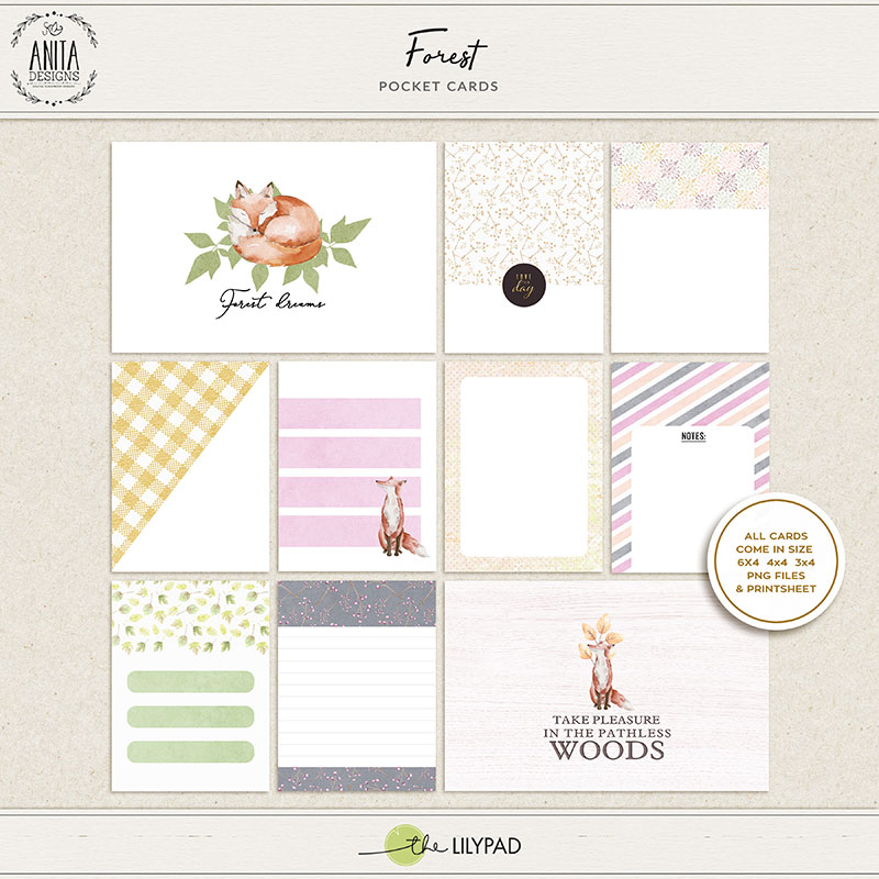 Forest | Collection - Image 4
