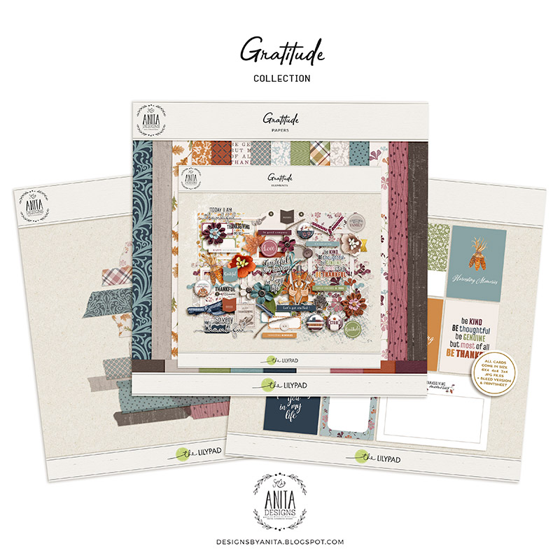 Gratitude | Collection - Image 7