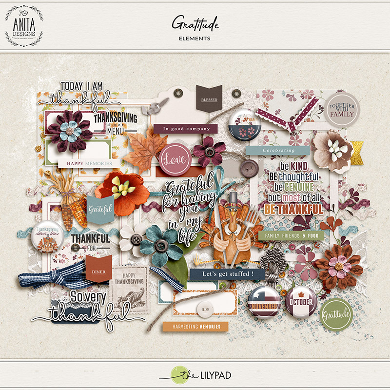 Gratitude | Elements