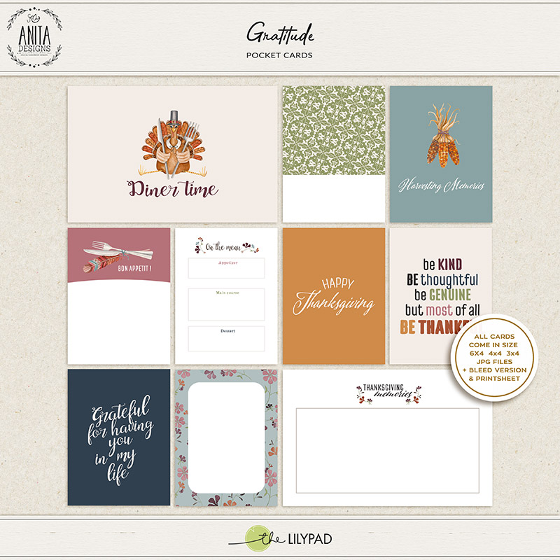 Gratitude | Collection - Image 4