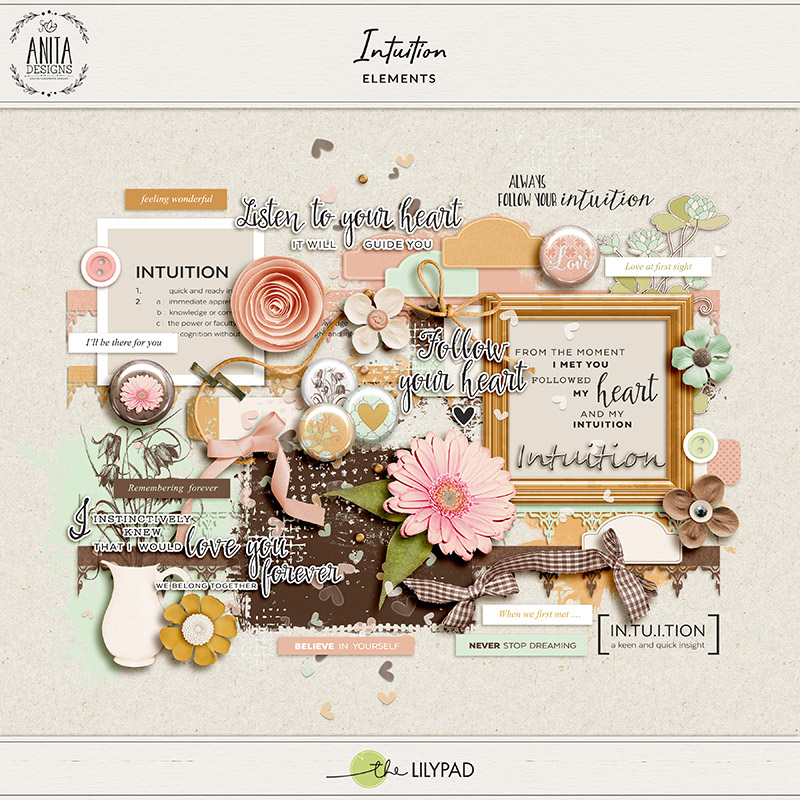 Intuition | Elements