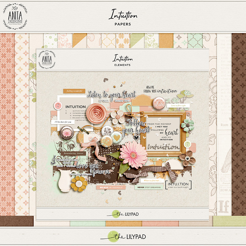 Intuition | Kit