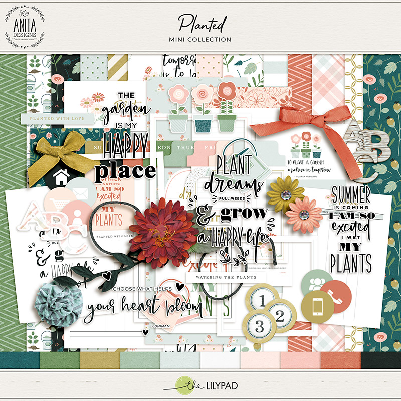 Planted | Collection - Image 2