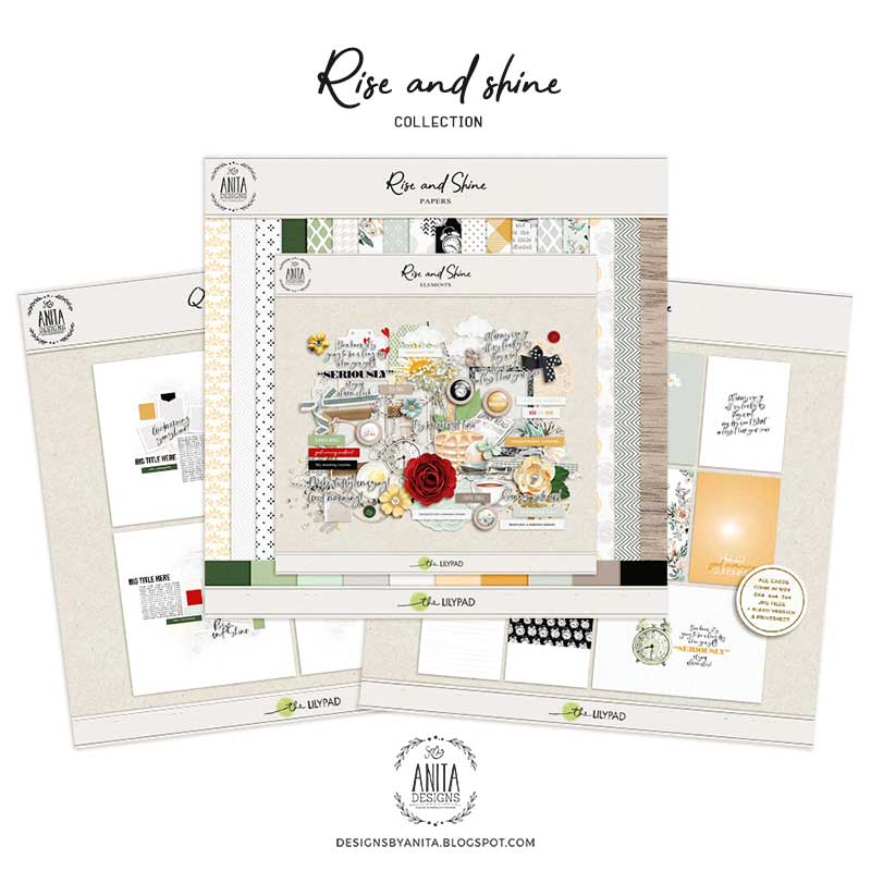Rise and Shine | Collection - Image 7