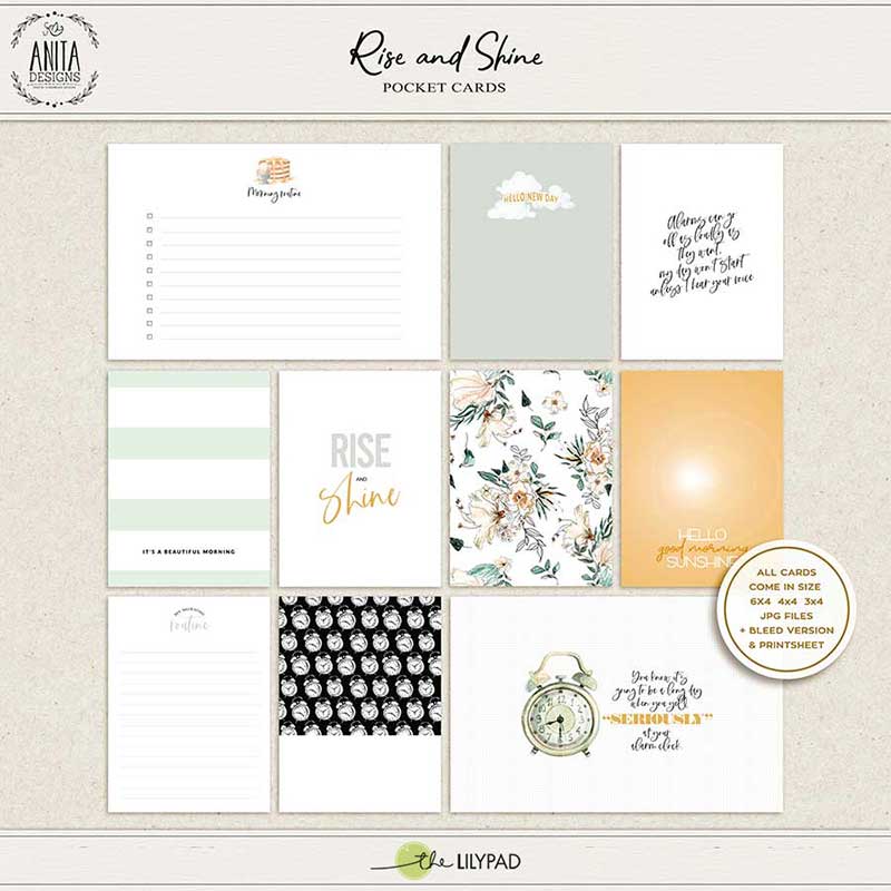 Rise and Shine | Collection - Image 4