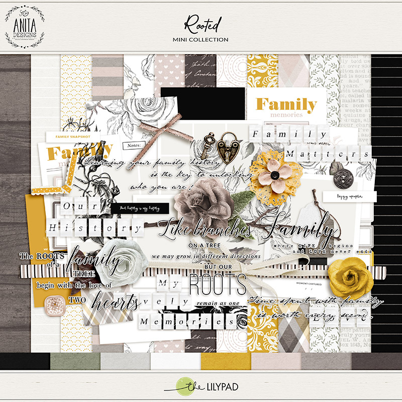 Rooted | Mini Collection