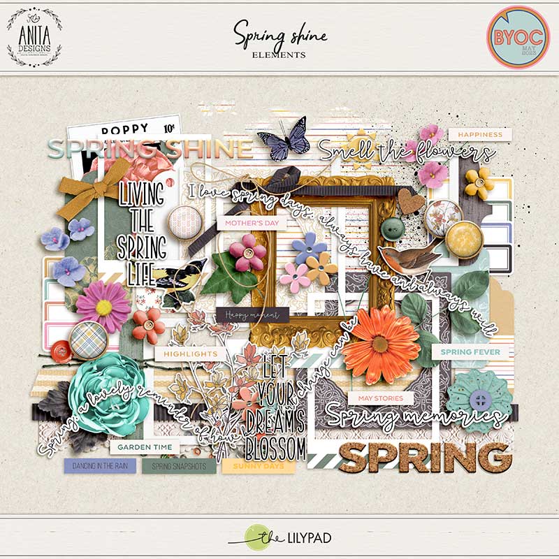 Spring shine | Elements