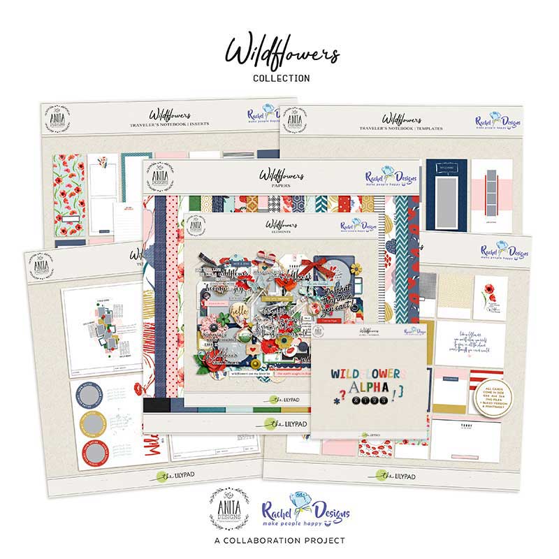 Wildflowers | Collection