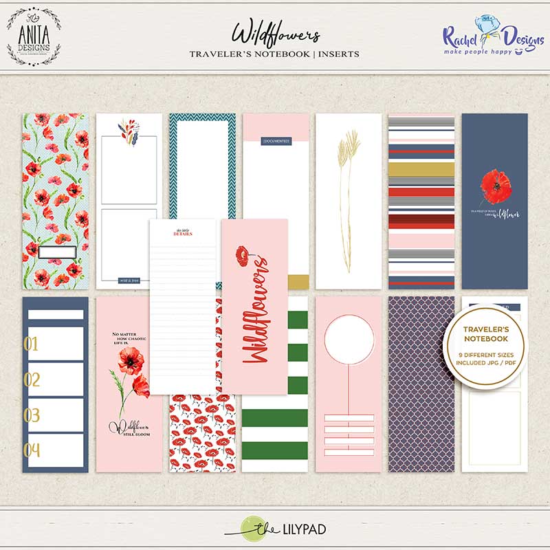 Wildflowers | Collection - Image 8