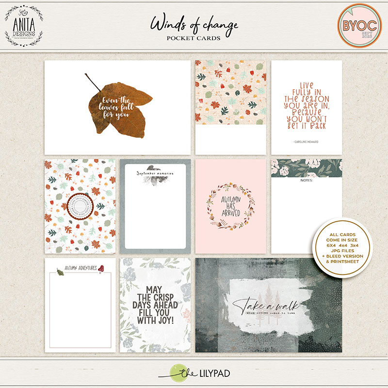 Winds of change | Pocket cards