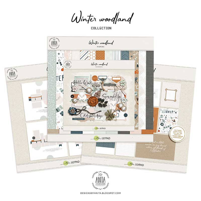 Winter woodland | Collection