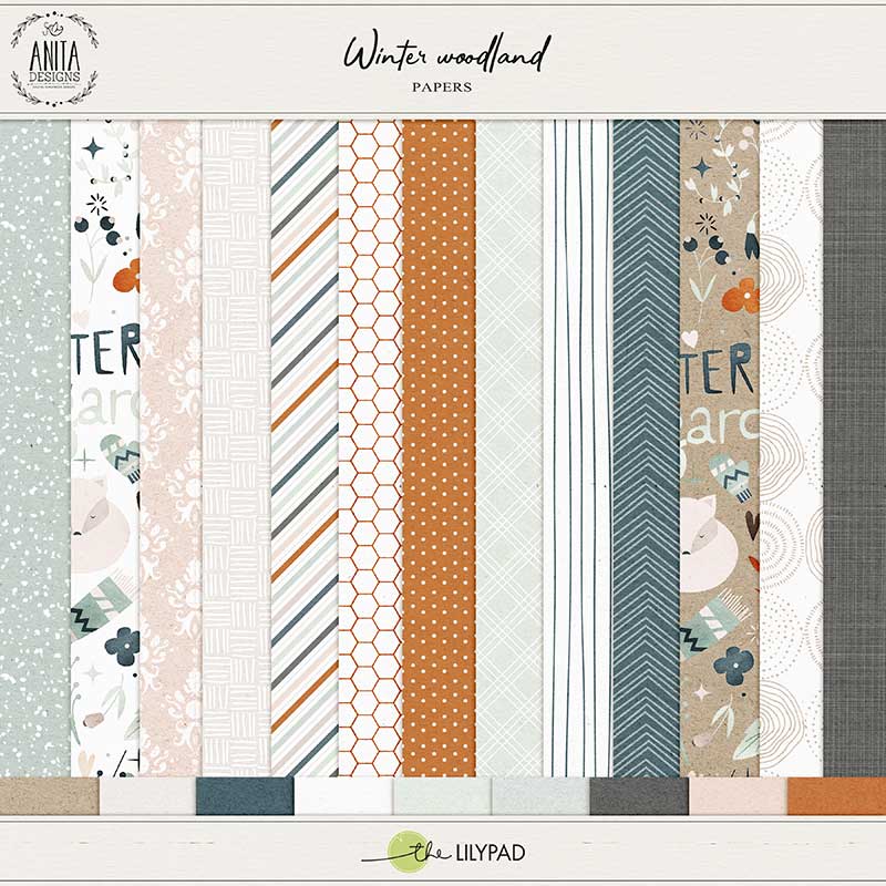 Winter woodland | Papers