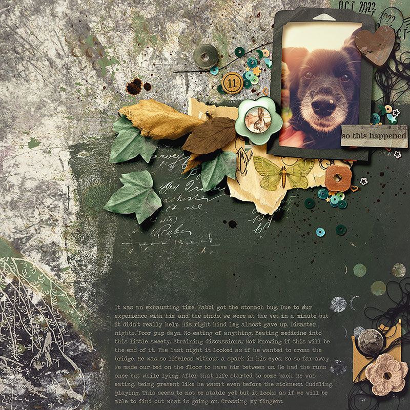 Willow Grove: Little Mixed Media Collages - Image 5