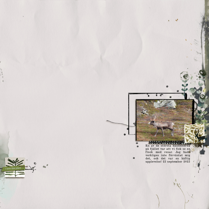 Art in Simplicity | Unpacked - Papers 2 - Image 5