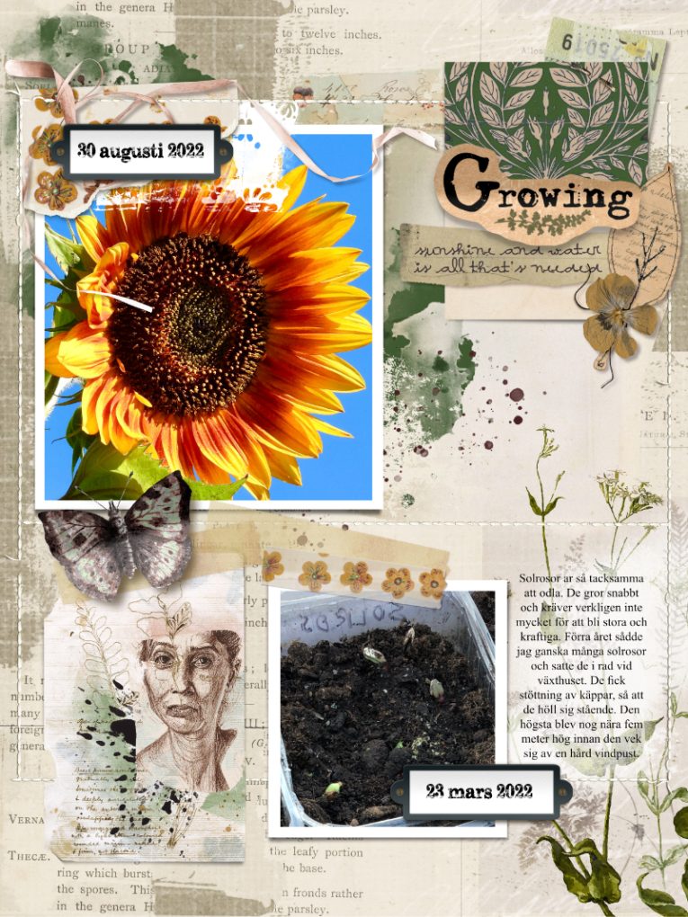 Hear My Voice: 11 - Growing | Mixed Media Digital Scrapbooking Elements - Image 4