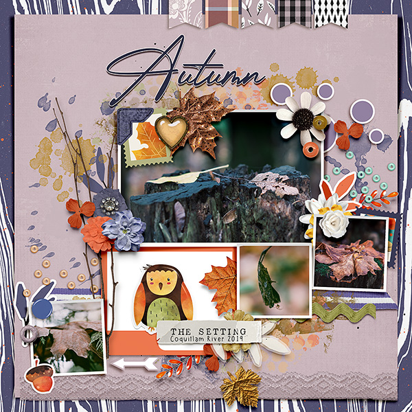 Sycamore Elements - Image 8