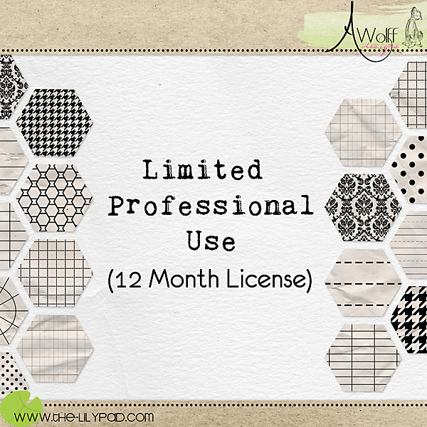 Limited Professional Use License: 12 Month
