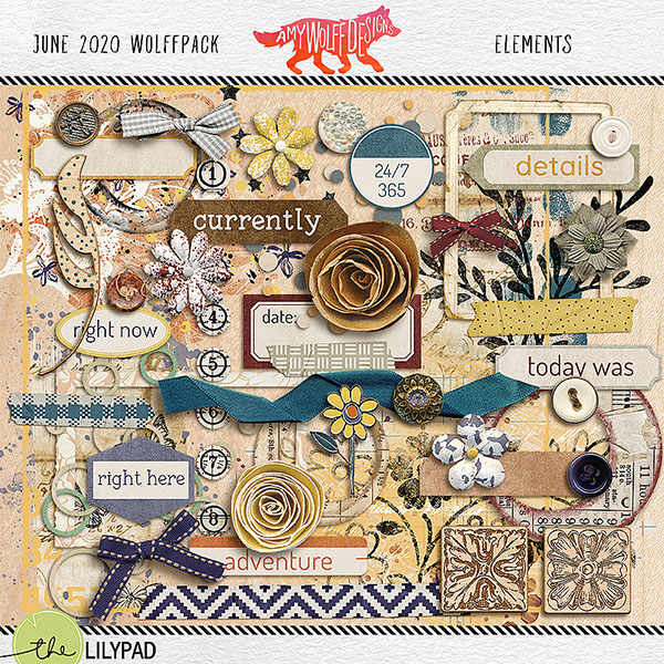 2020 June Wolff Pack Elements